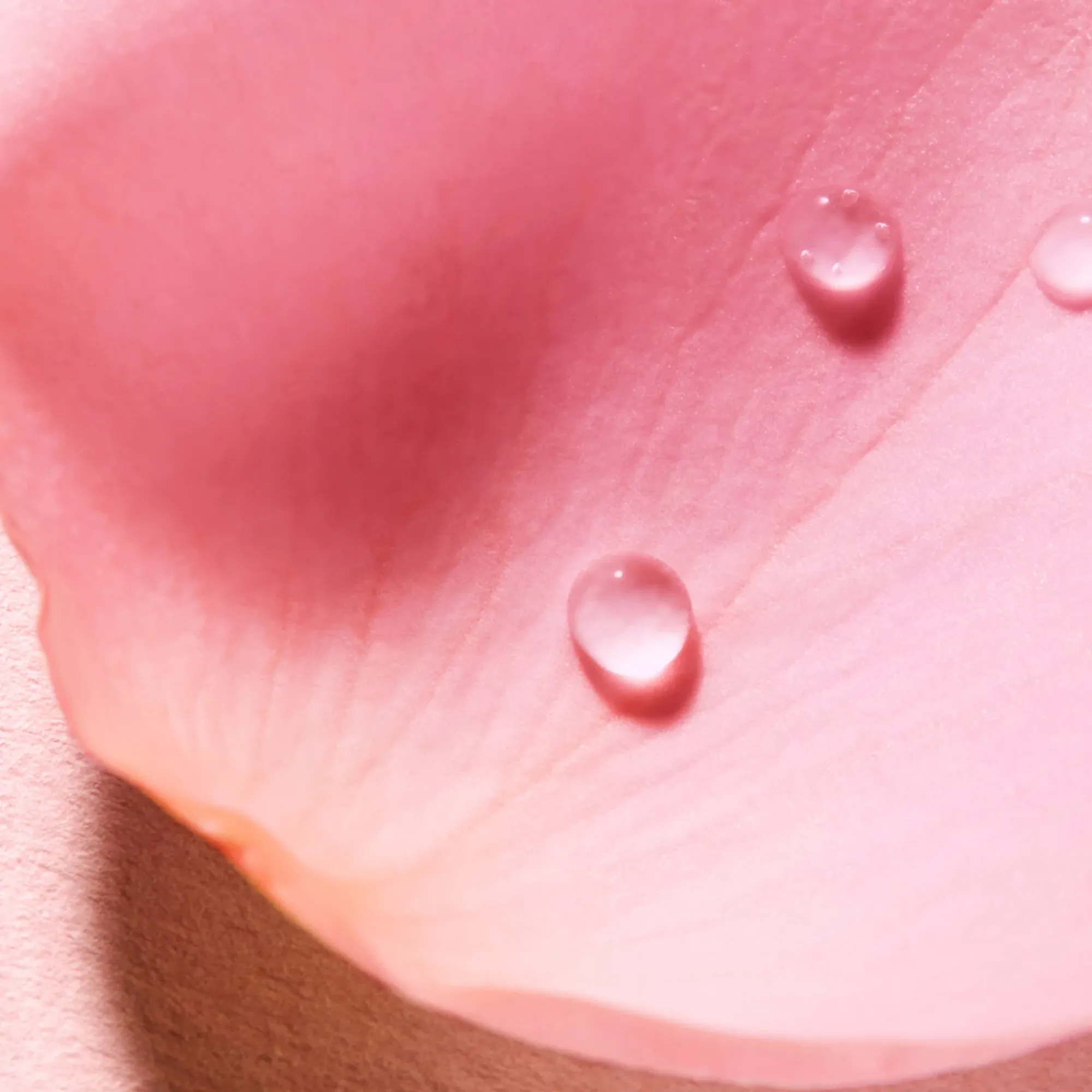 NUXE Profumo E Acqua^Acqua profumata alla rosa