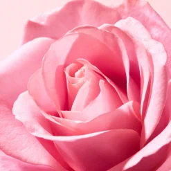 NUXE Prezzi Bassi|Cura Delle Labbra^Balsamo idratante labbra alla rosa