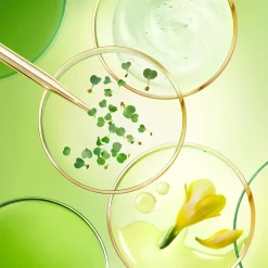 NUXE Crema Da Giorno|Trattamento Anti-Età^COFANETTO ANTI-ETÀ GLOBALE TUTTI I TIPI DI PELLE, Nuxuriance Ultra Alfa [3R]