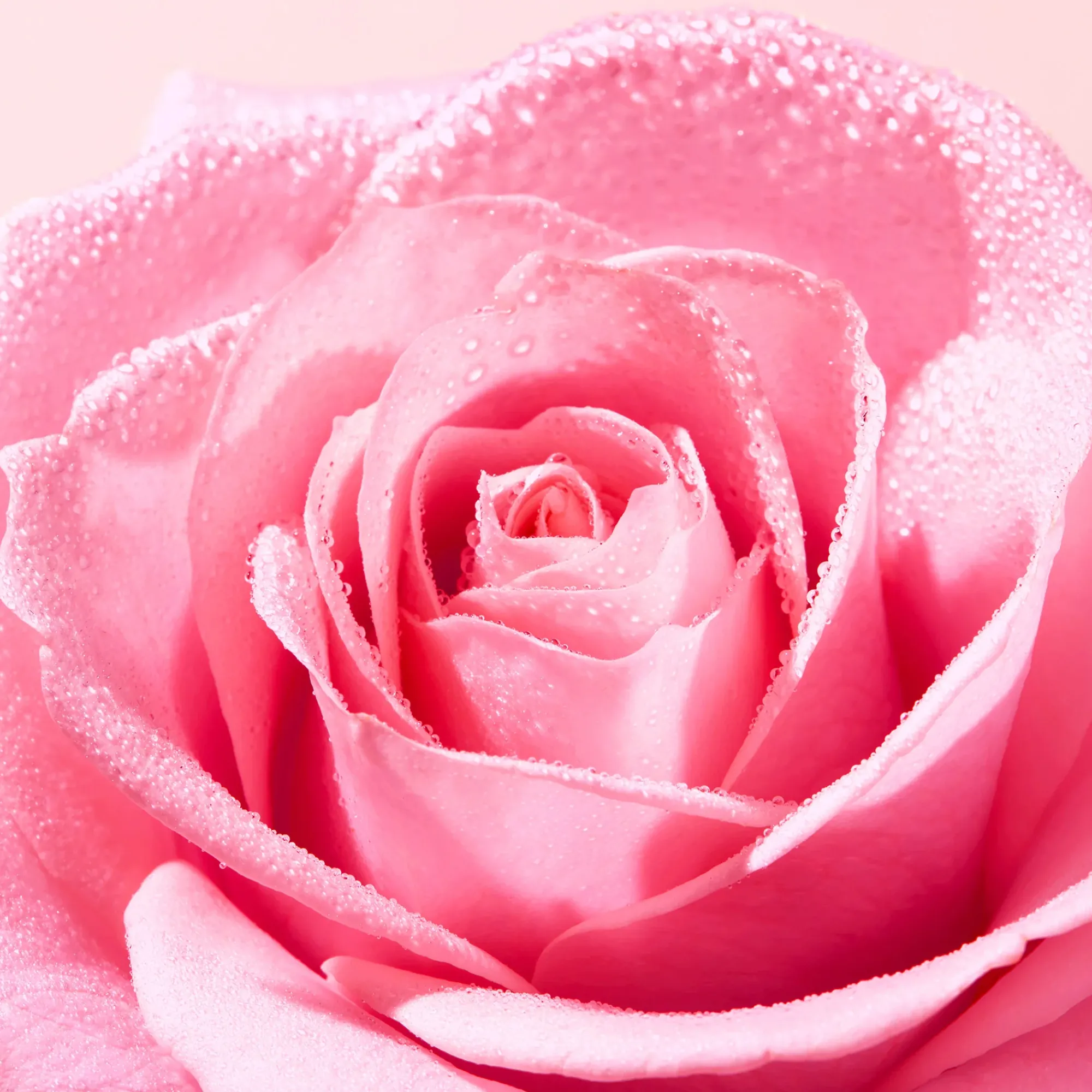 NUXE Detergente E Struccante^Duo Mousse leggera detergente Very Rose